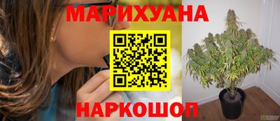 СК Заволжье
