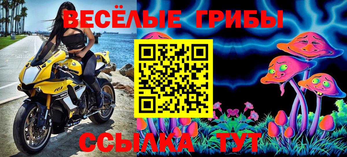 Галлюциногенные грибы MAGIC MUSHROOMS  Псилоцибиновые грибы Psilocybine cubensis  Вход с VPN  Кушва 